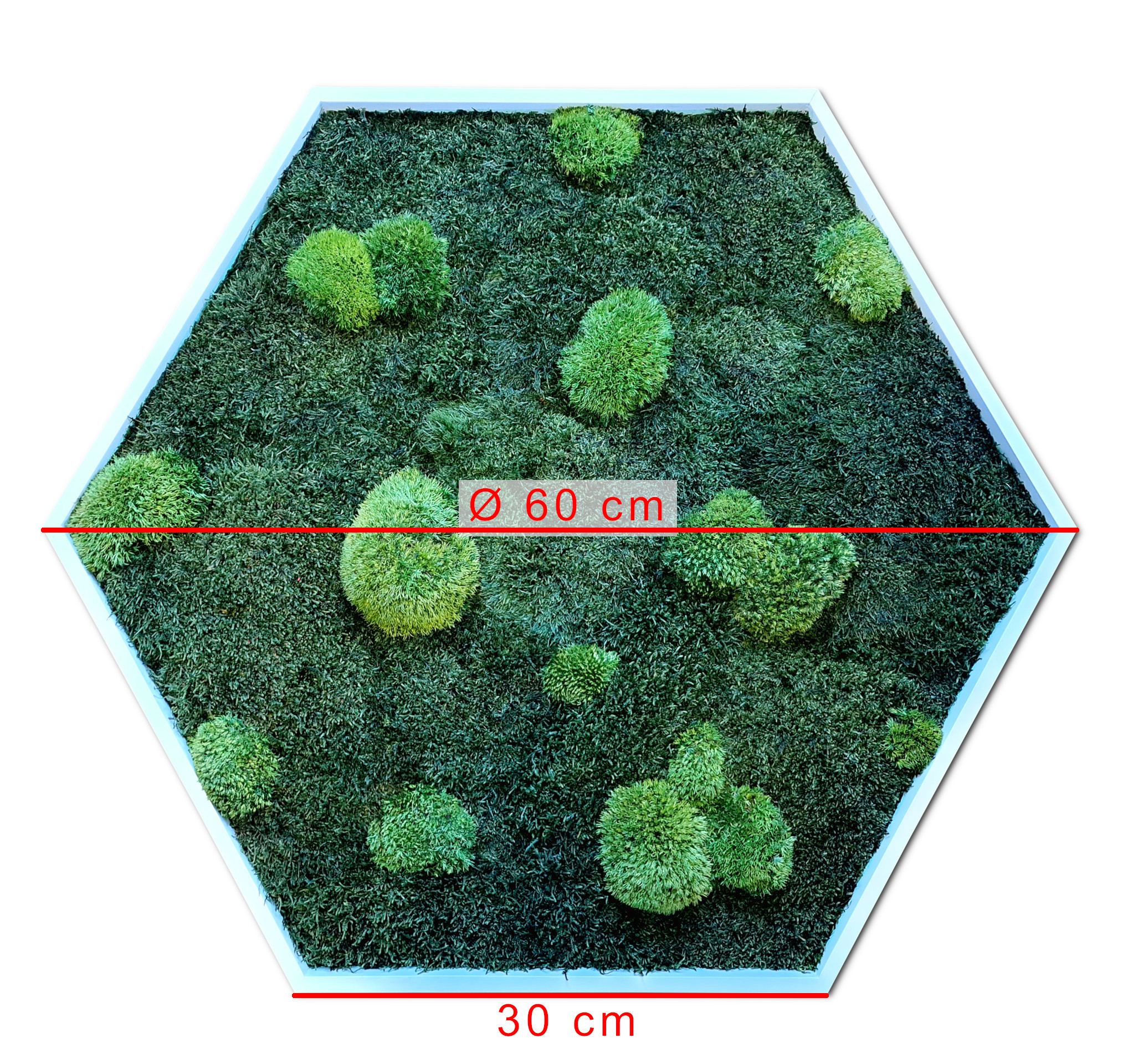 Moosbild Hexagon - Größen von Ø40 cm bis Ø 100cm