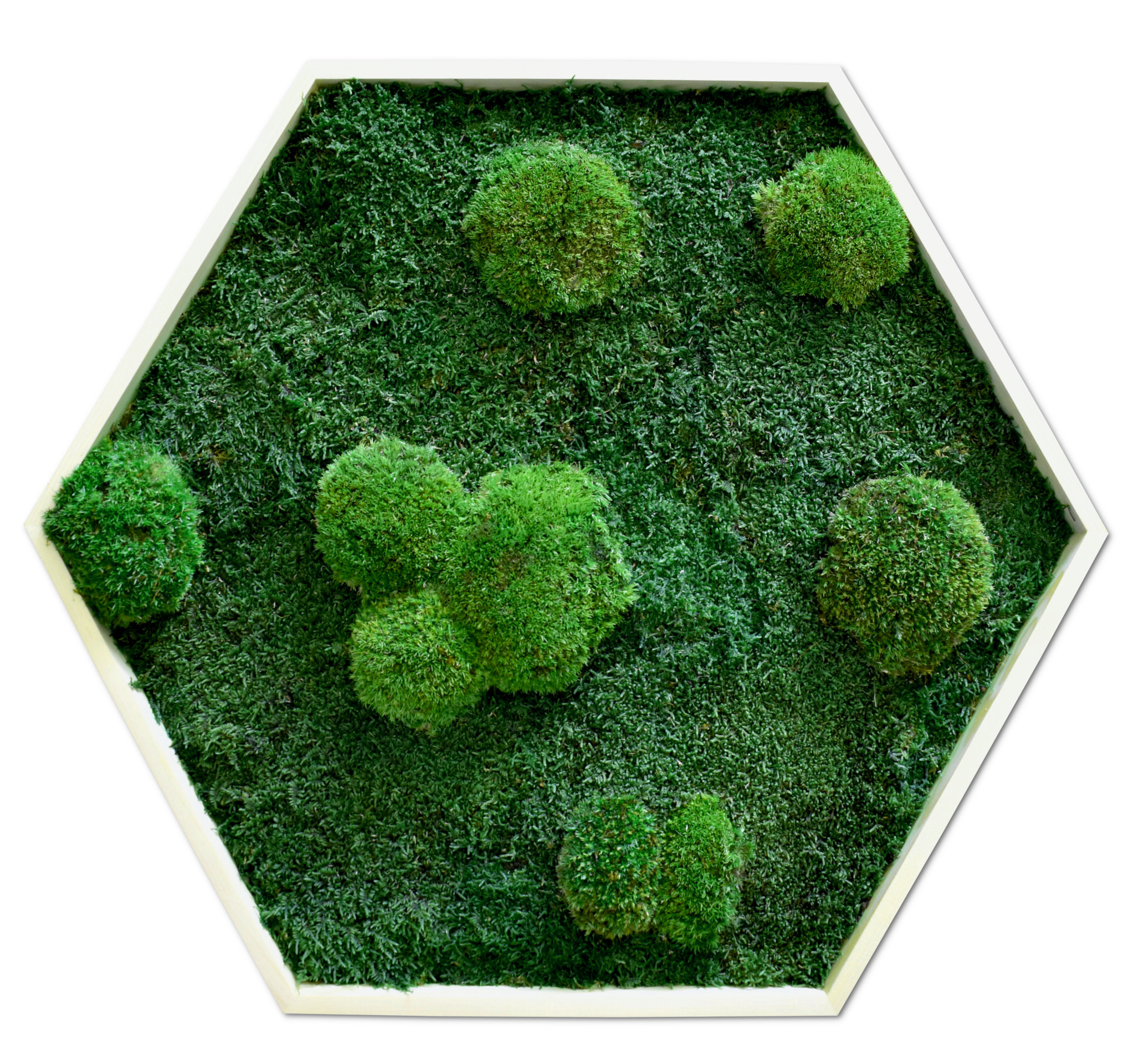Moosbild Hexagon - Größen von Ø40 cm bis Ø 100cm
